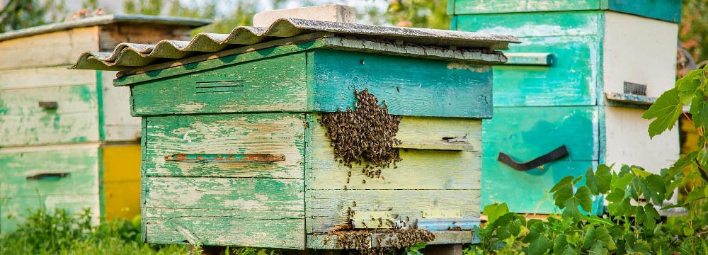 Decoracion de abeja para el hogar, deco y DIY
