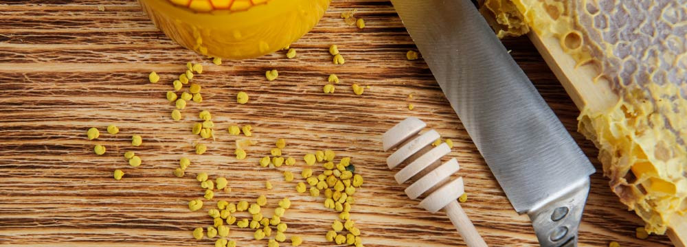 ¡Descubra nuestra selección de productos de Alimentación y Salud de abejas!