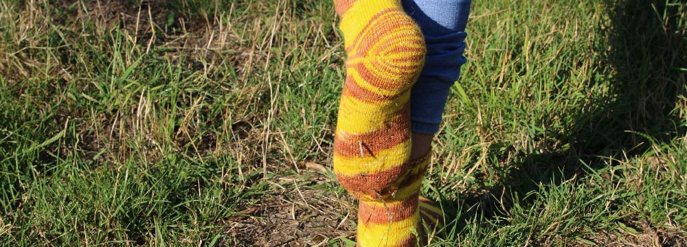 Calcetines de abeja, algodon y motivo divertido