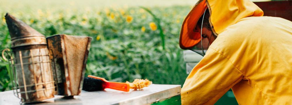 Gorra de abeja, proteccion solar y estilo urbano