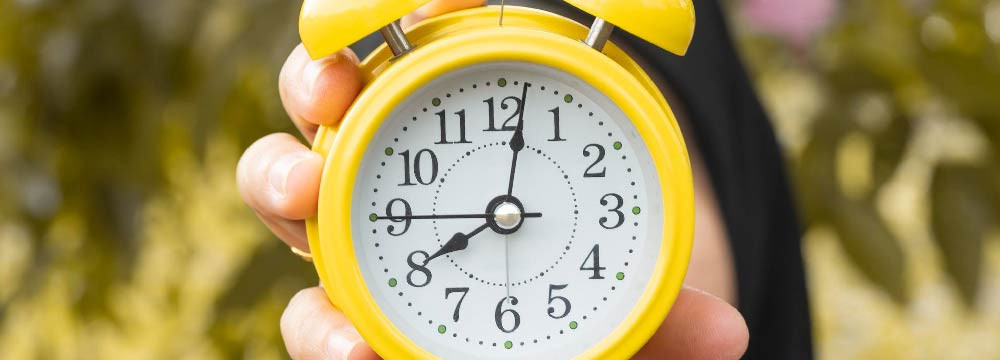 Reloj de abeja, reloj de pared deco natural