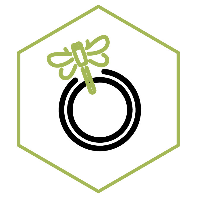 Icono de la categoría Anillos de Libélula