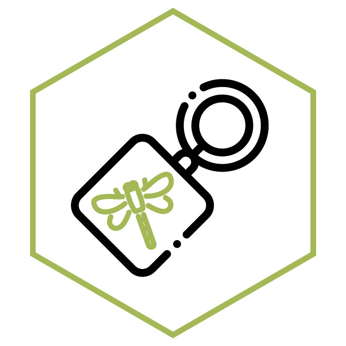 Icono de la categoría Llaveros de Libélula