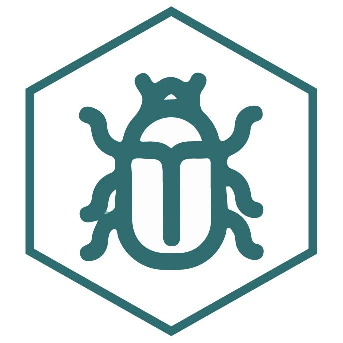 Icono de la categoría Escarabajos