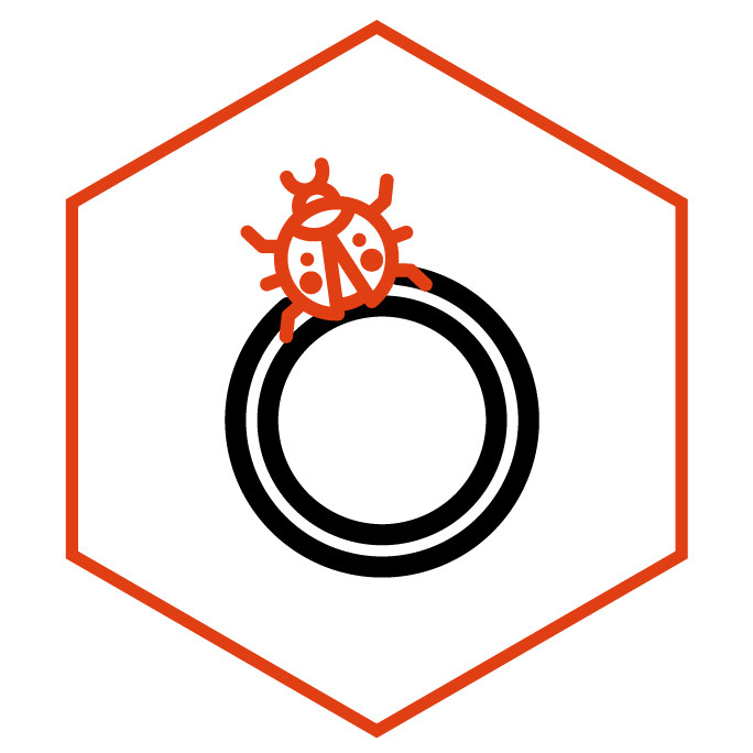 Icono de la categoría Anillos de Mariquita