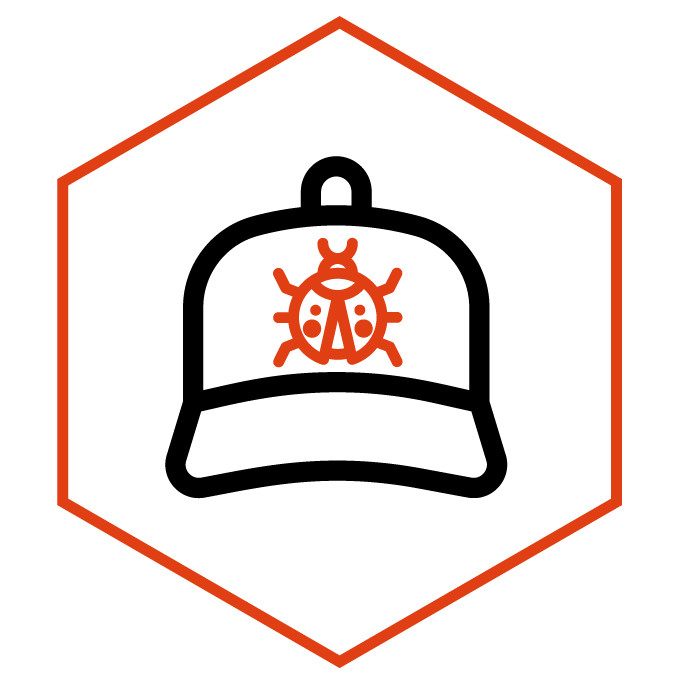 Icono de la categoría Gorra Mariquita