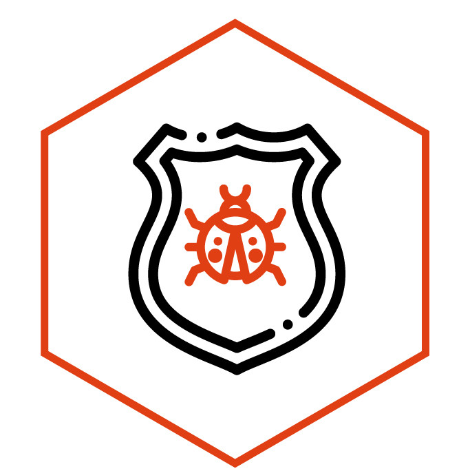 Icono de la categoría Parches y escudos Mariquita