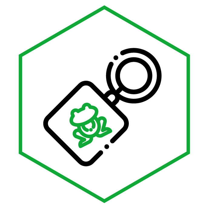 Icono de la categoría Llaveros de Ranas