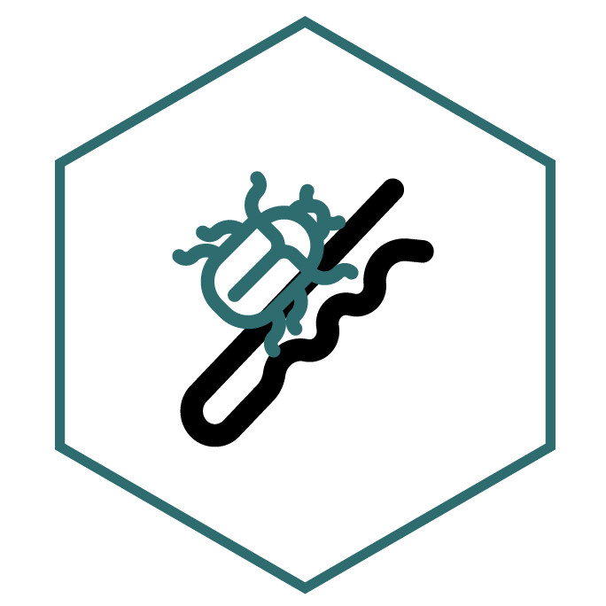 Icono de la categoría Broches Escarabajo