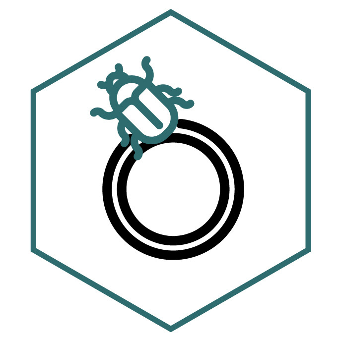 Icono de la categoría Anillos de Escarabajo