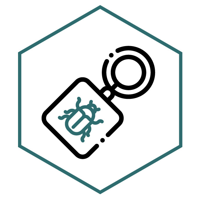 Icono de la categoría Llaveros de Escarabajo
