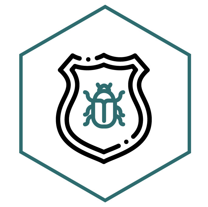 Icono de la categoría Parches y Escudos Escarabajo