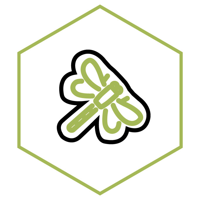 Icono de la categoría Pegatinas Libélula