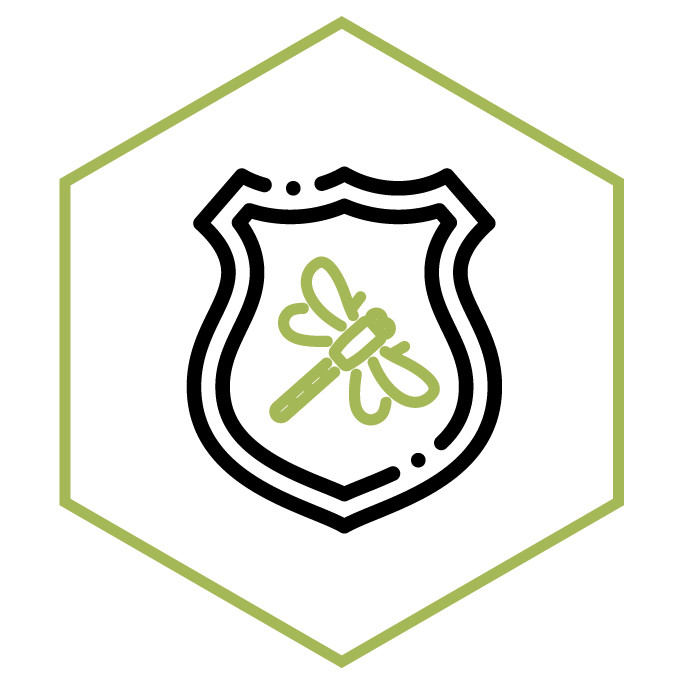 Icono de la categoría Parches y escudos Libélula
