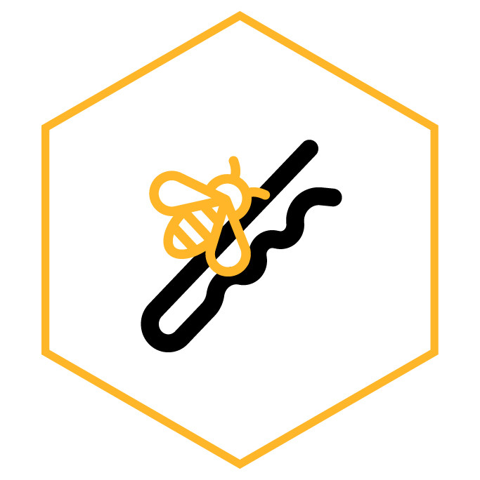 Icono de la categoría Broches de abeja
