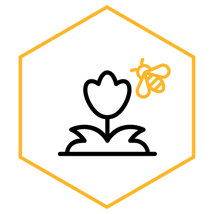 Icono de la categoría Decoración de jardín de abejas