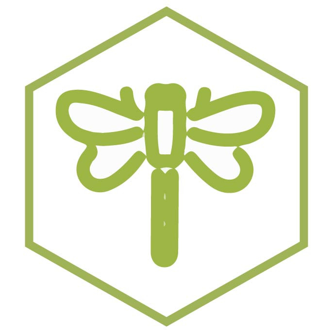 Icono de la categoría Libélulas