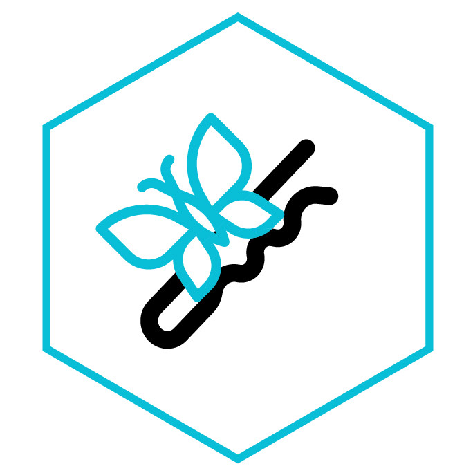 Icono de la categoría Broche Mariposas