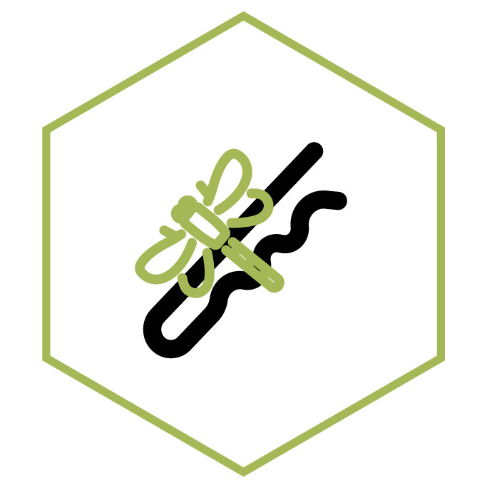 Icono de la categoría Broche Libélula