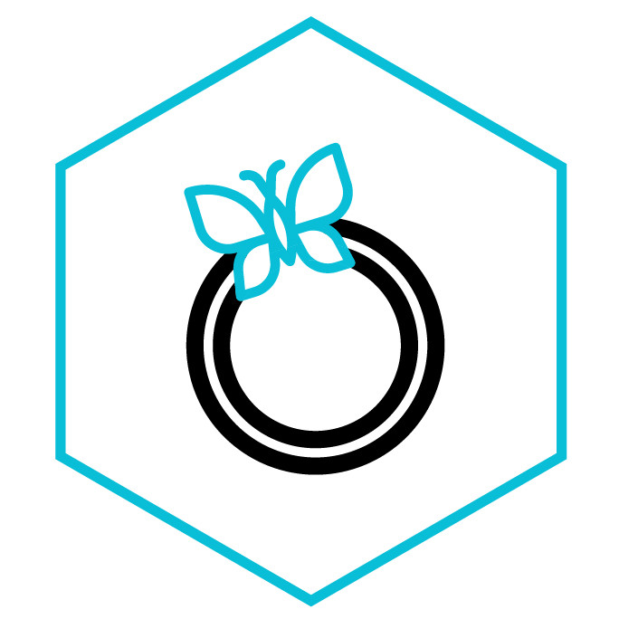 Icono de la categoría Anillos de Mariposas