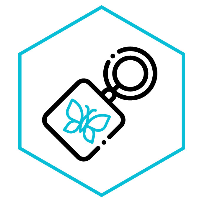 Icono de la categoría Llaveros Mariposas