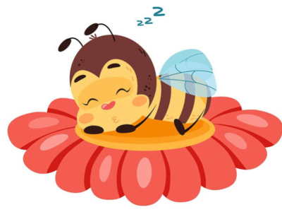 ¿Duerme una abeja?