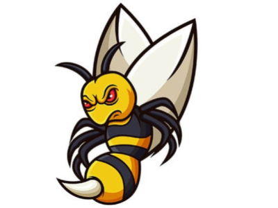 Abejas: ¿Quién pica y por qué?
