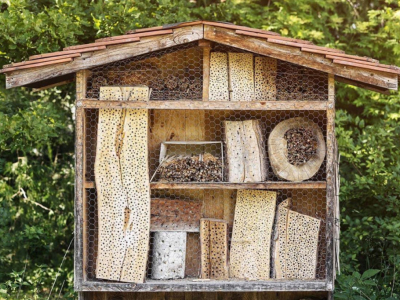 ¿Es realmente útil un refugio para abejas?